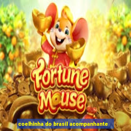 coelhinha do brasil acompanhante